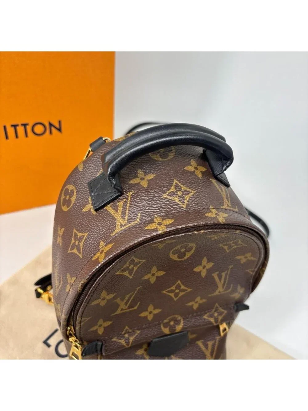 Louis Vuitton Palm Springs Mini Backpack Monogram